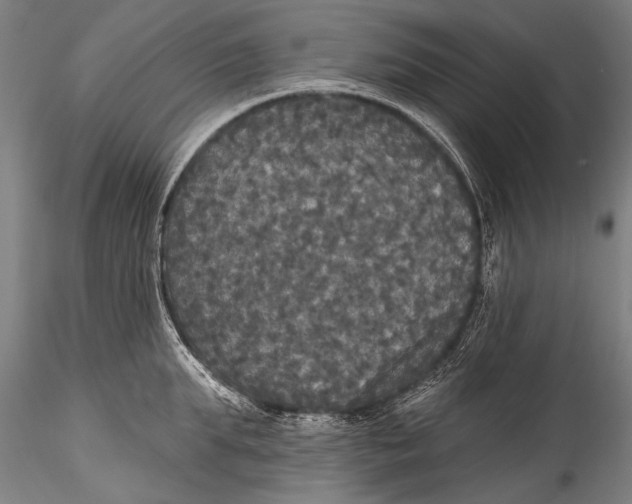 X0000115320903200911301556