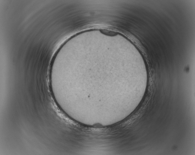 X0000115320904200911301555