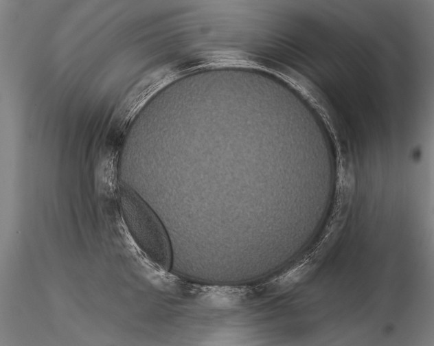 X0000115320905200911301555