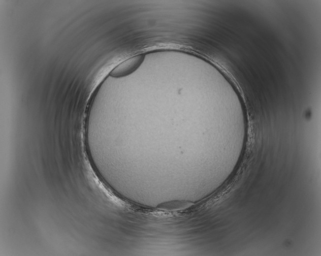 X0000115320906200911301555