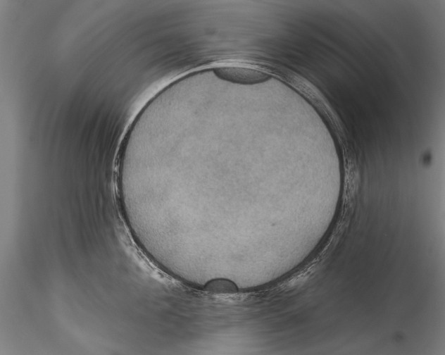 X0000115320908200911301555