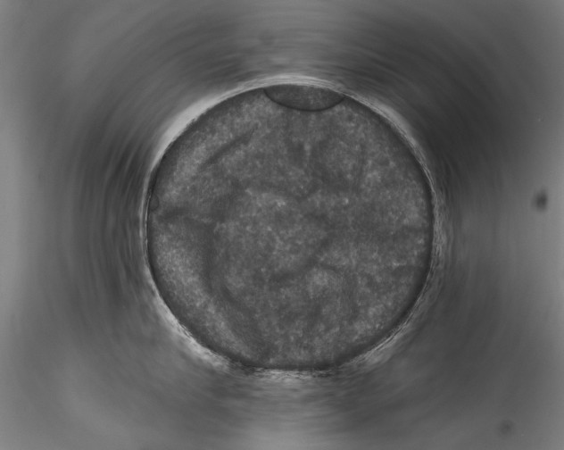 X0000115320910200911301555