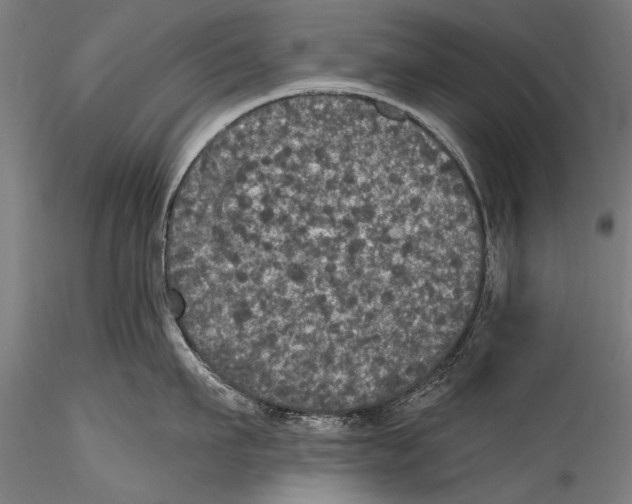 X0000115320911200911301555