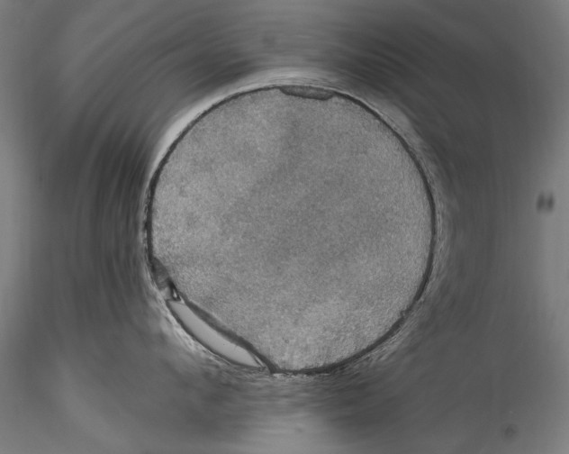 X0000115320912200911301555