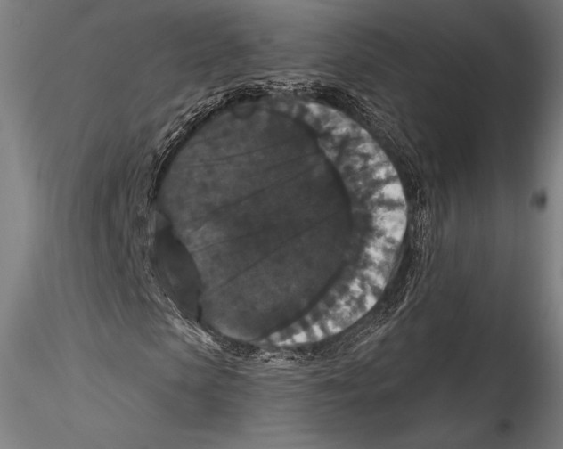 X0000115320913200911301555