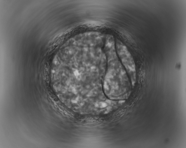 X0000115320917200911301555