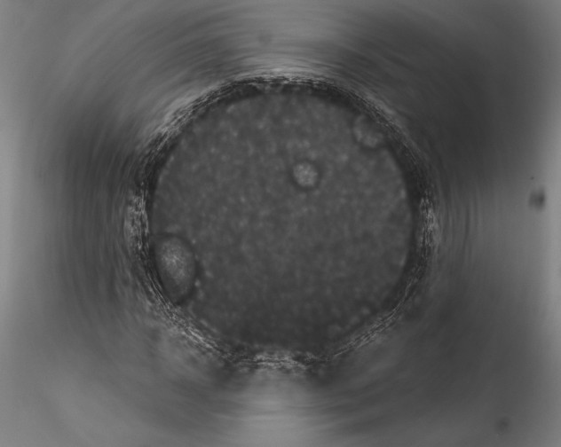 X0000115320918200911301555