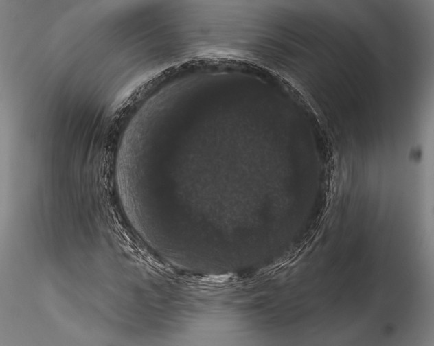 X0000115320919200911301555