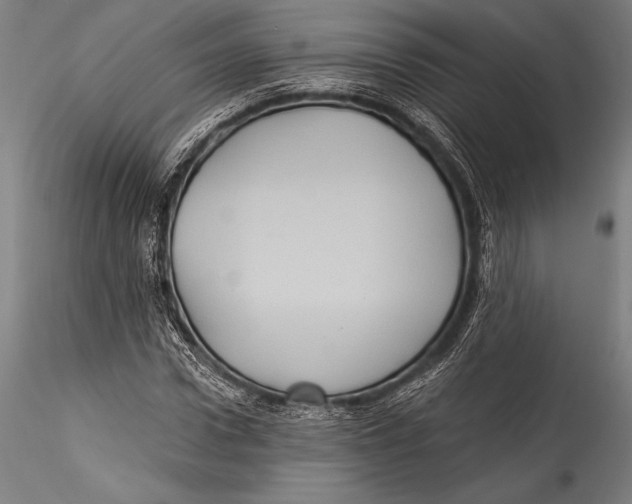 X0000115320922200911301555