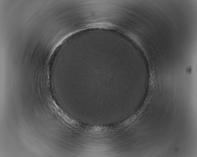 X0000115320923200911301555