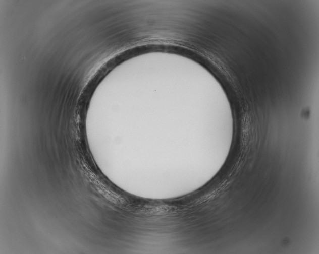 X0000115320926200911301555