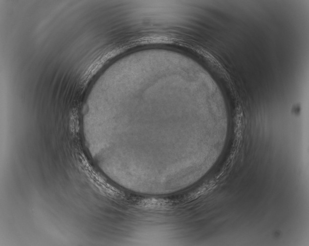 X0000115320929200911301555