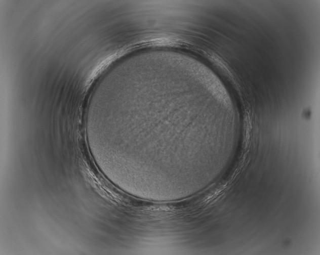 X0000115320930200911301555