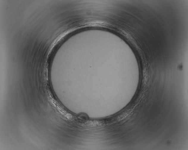 X0000115320931200911301555