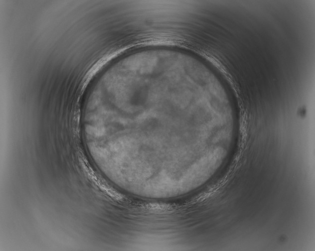 X0000115320933200911301555