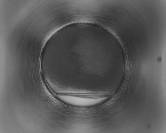 X0000115320935200911301555