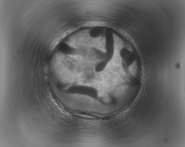 X0000115320937200911301555