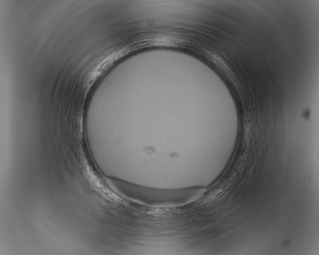 X0000115320938200911301555