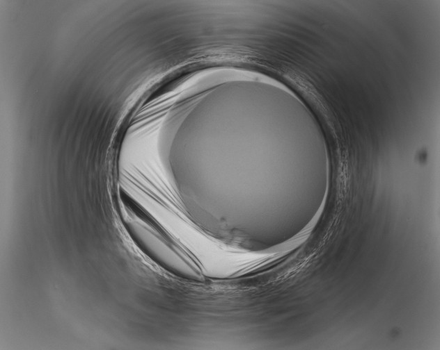 X0000115320941200911301555