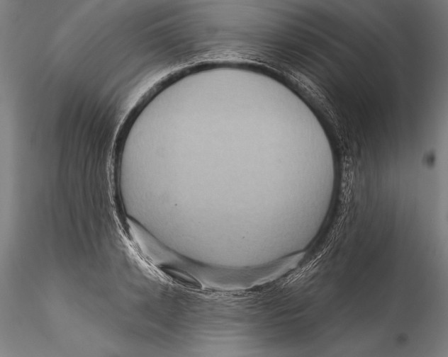 X0000115320942200911301555