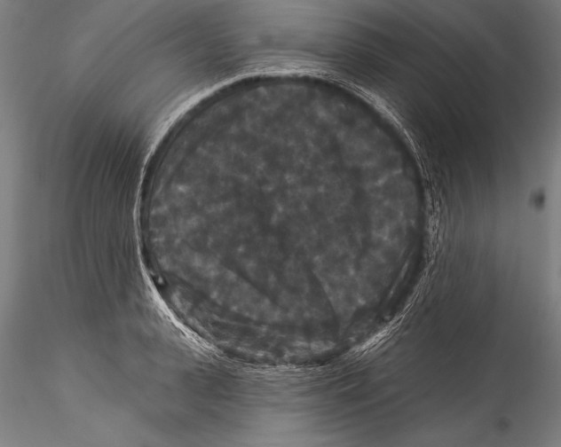 X0000115320943200911301555