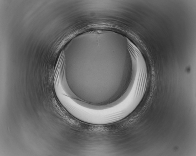 X0000115320945200911301555