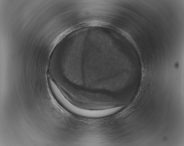 X0000115320946200911301555