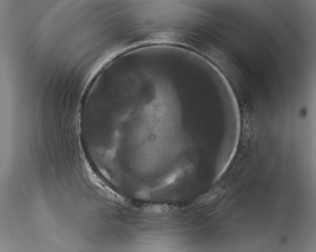 X0000115320950200911301555