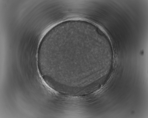 X0000115320951200911301555