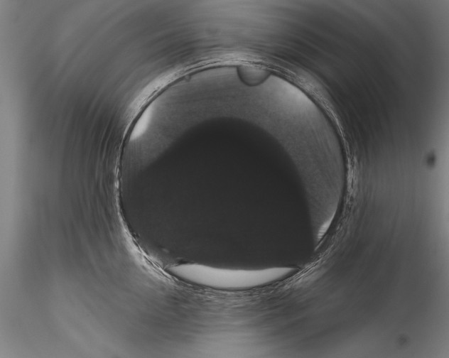 X0000115320954200911301555