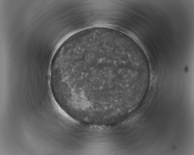 X0000115320955200911301555