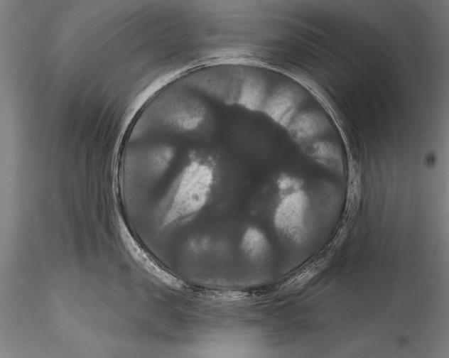 X0000115320957200911301555