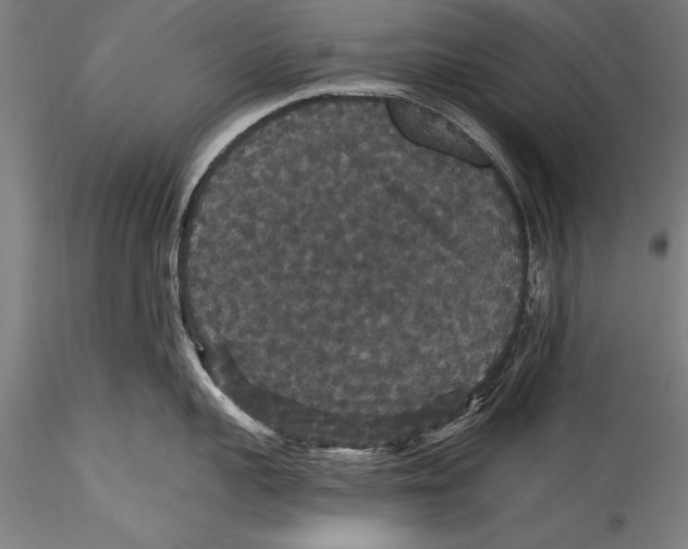 X0000115320959200911301555