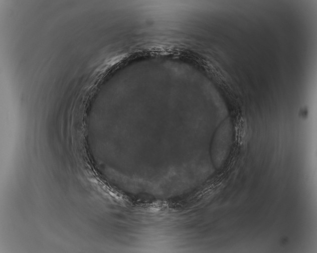 X0000115320961200911301555