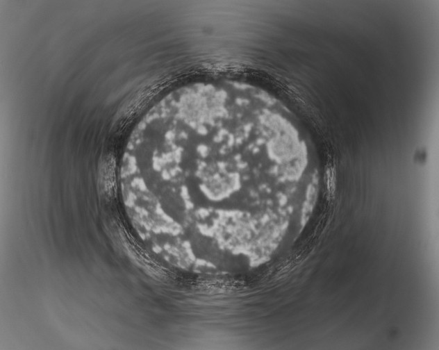 X0000115320963200911301555