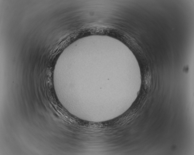 X0000115320964200911301555