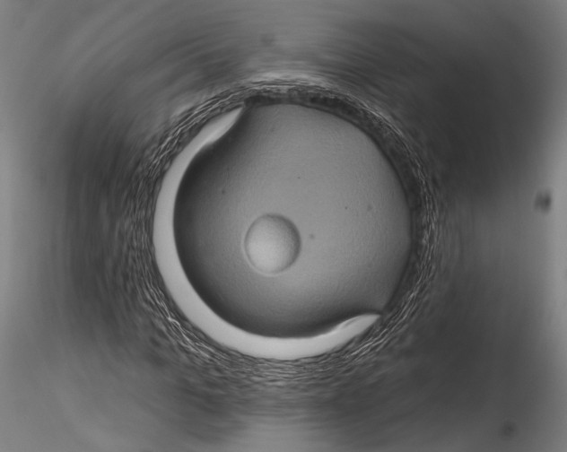 X0000115320965200911301555