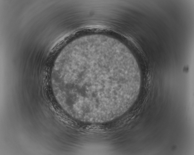 X0000115320967200911301555