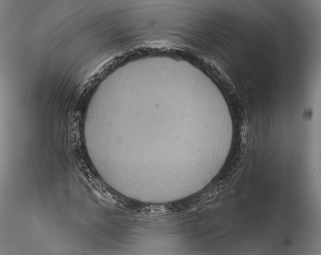 X0000115320968200911301555