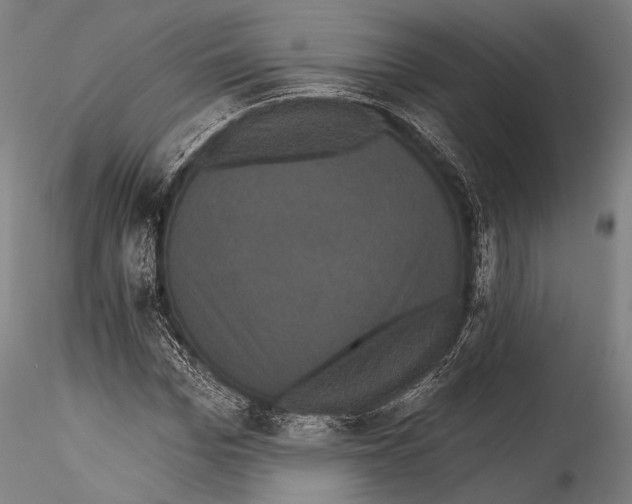 X0000115320969200911301555