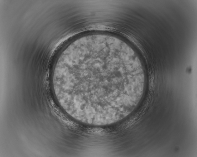 X0000115320971200911301555