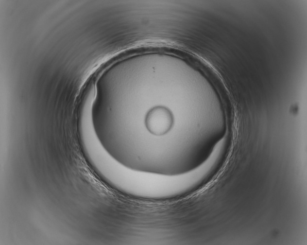 X0000115320973200911301554