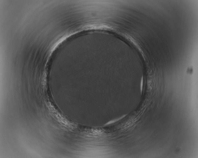 X0000115320975200911301554