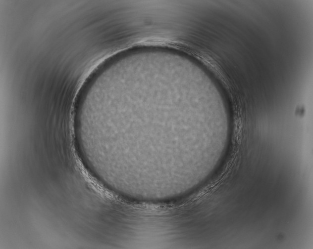 X0000115320976200911301554