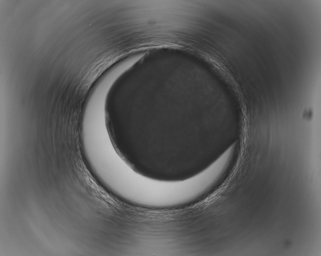 X0000115320977200911301554