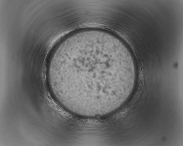 X0000115320979200911301554