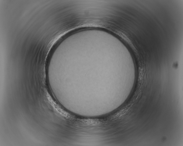 X0000115320980200911301554