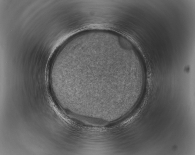 X0000115320981200911301554