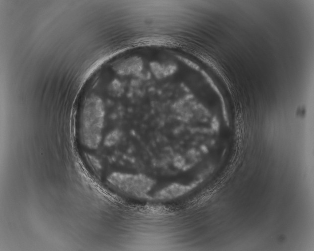 X0000115320983200911301554