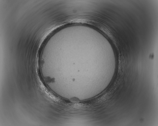 X0000115320984200911301554